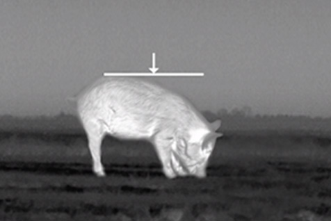 热成像户外应用