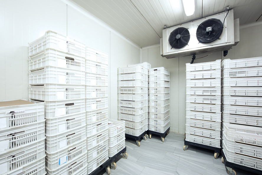 H8207A系列-NDIR冷媒气体传感器